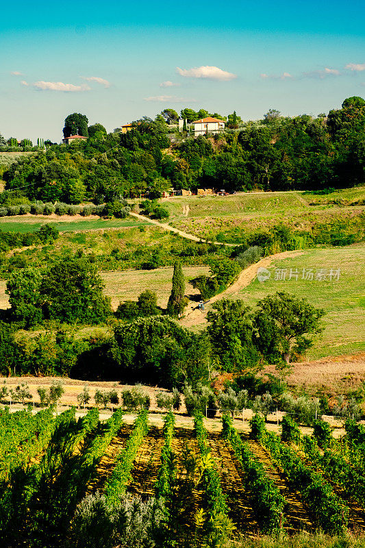 Wine country, Montepulciano, Tuscany, Italy